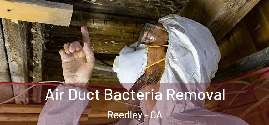  Air Duct Bacteria Removal Reedley - CA