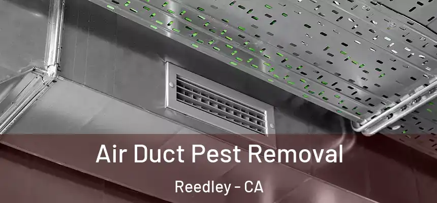 Air Duct Pest Removal Reedley - CA
