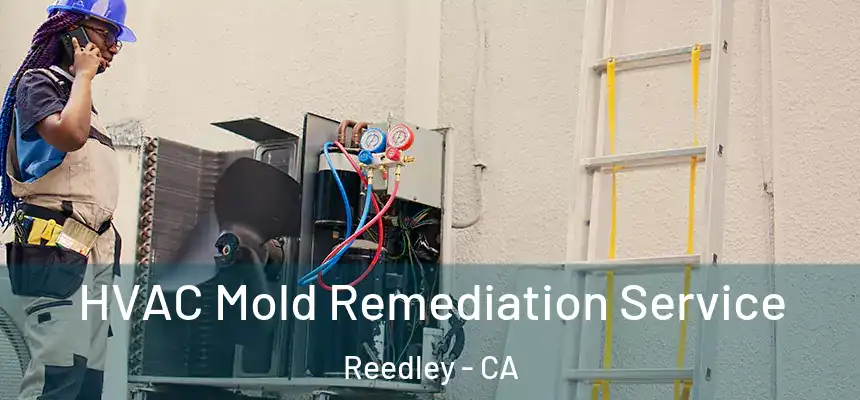 HVAC Mold Remediation Service Reedley - CA