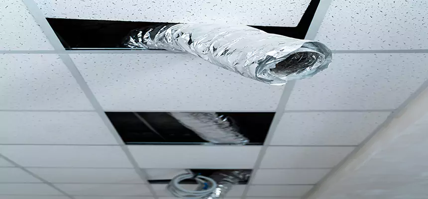 Our Air Duct Pet Hair Removal Services in Reedley, CA