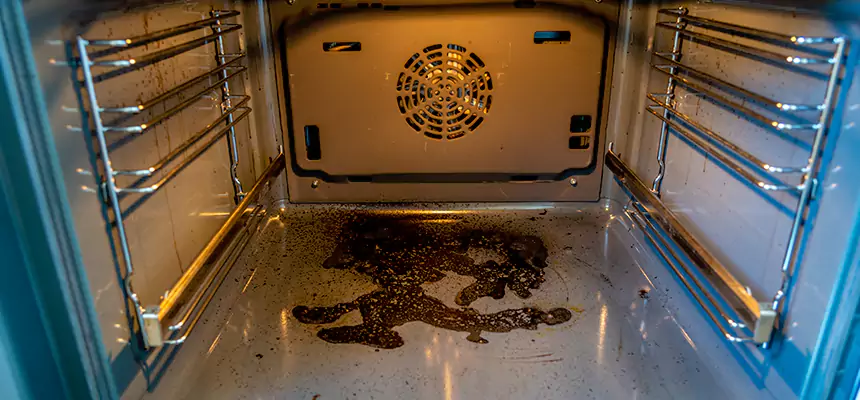 Our Dryer Vent Mold Cleaning Services in Reedley, CA