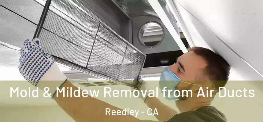 Mold & Mildew Removal from Air Ducts Reedley - CA