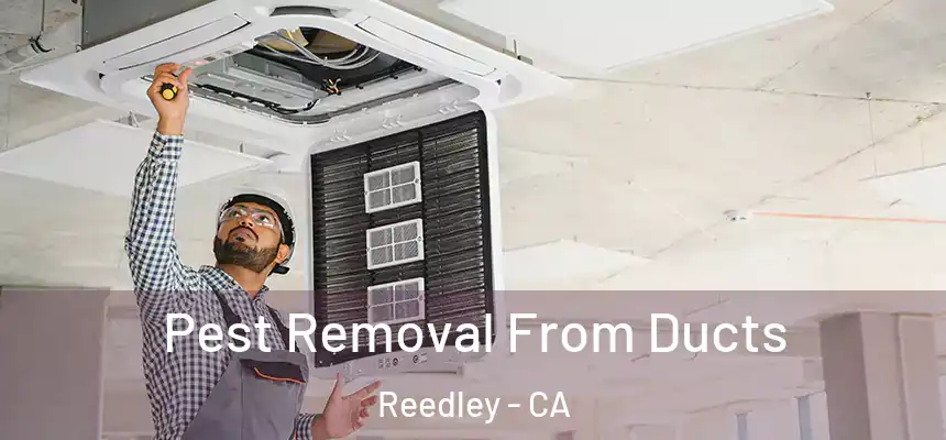 Pest Removal From Ducts Reedley - CA