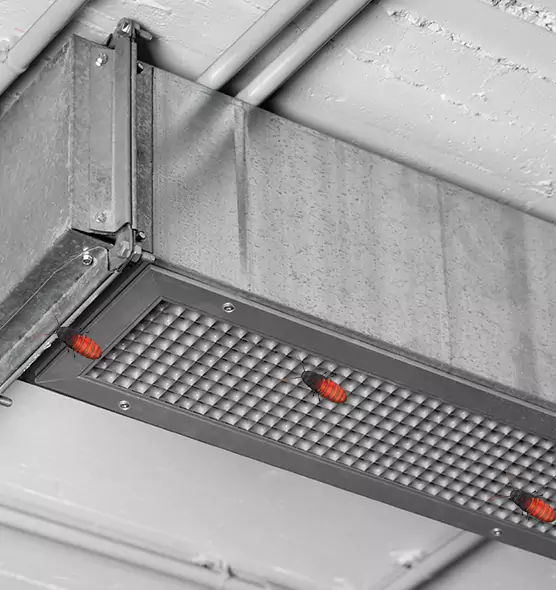 Affordable Insect Removal from Air Ducts in Reedley, CA