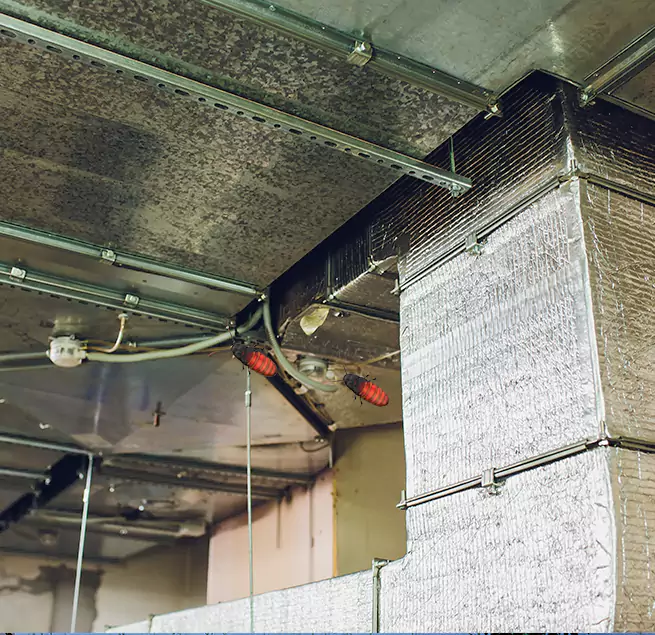 Why Homeowners & Businesses Trust Us in Reedley, CA?