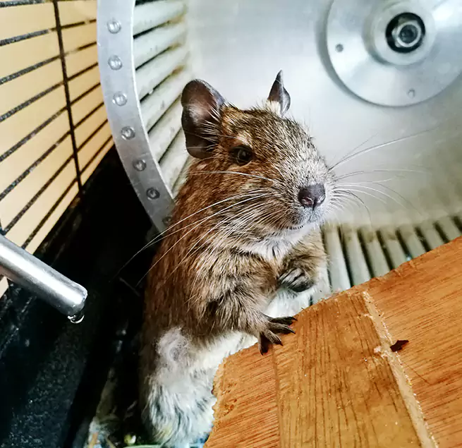 Why Homeowners & Businesses Trust Us Reedley, CA