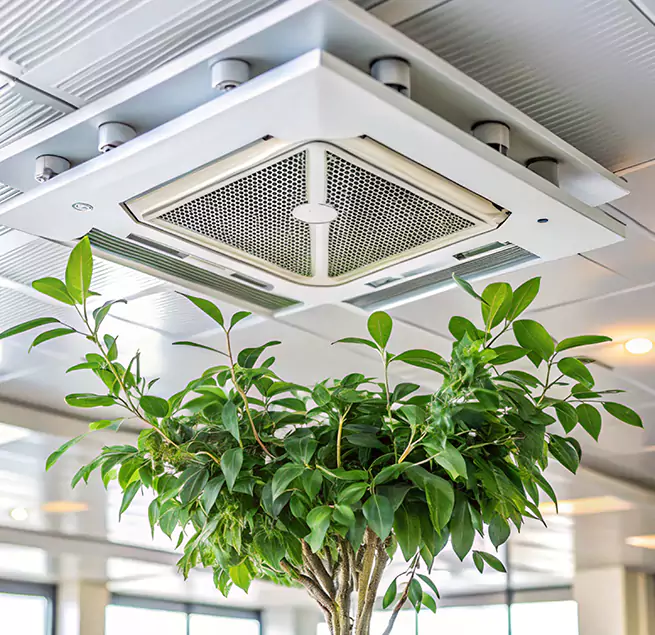 Why Homeowners & Businesses Trust Us in Reedley, CA?