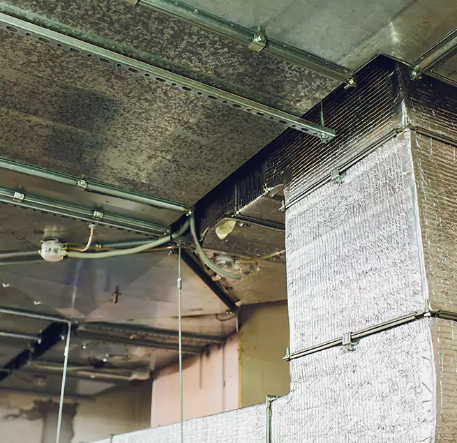 Why Homeowners & Businesses Trust Us in Reedley, CA?